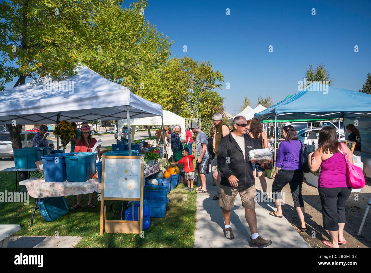 Farmers market stalls in Golden, British Columbia, Canada Stock Photo