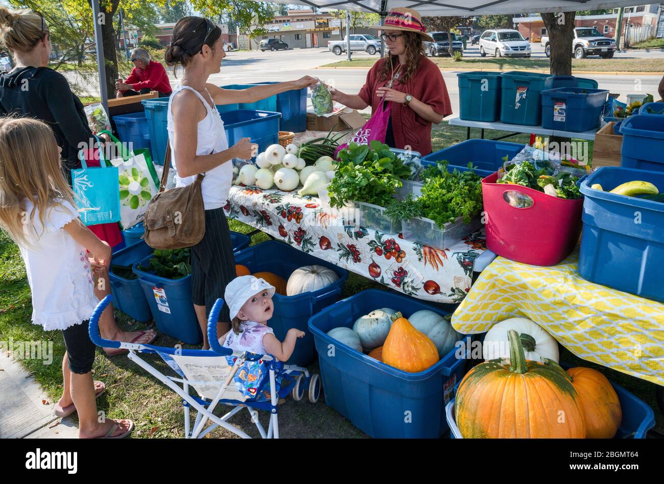 Vegetable stall at farmers market in Golden, British Columbia, Canada Stock Photo