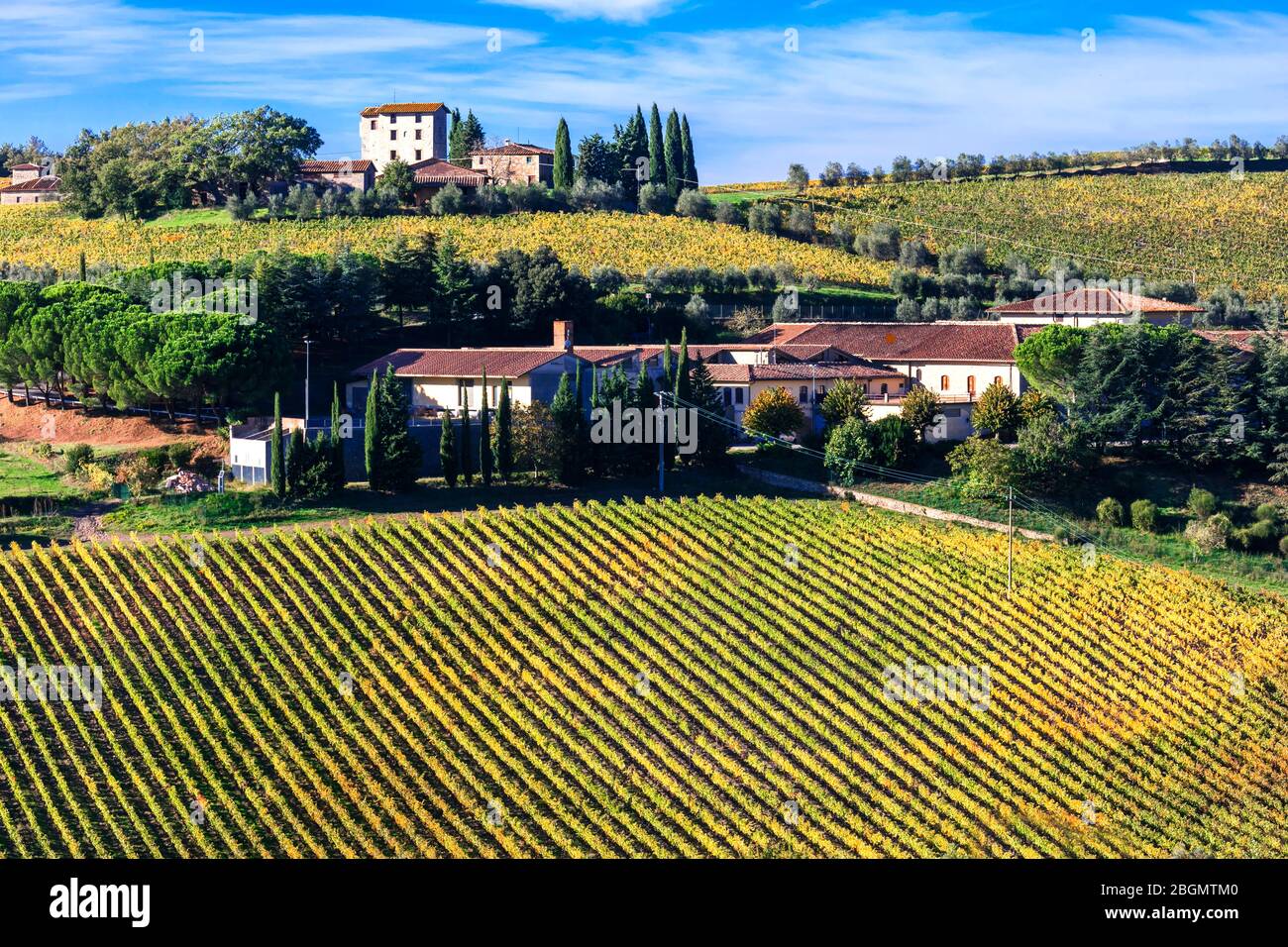 Beautiful countryside of Italy, grape plantations . Tuscany - famous wine region. Stock Photo