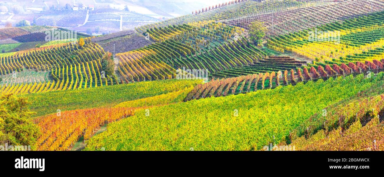 Picturesque countryside of Piedmont with vineyards in autumn colors. Wine region of Italy. Stock Photo