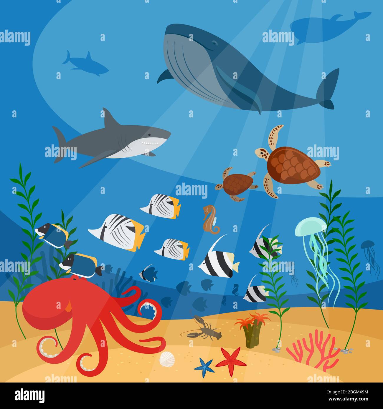 Ocean underwater vector background with fish, corals and algae Stock Vector  Image & Art - Alamy