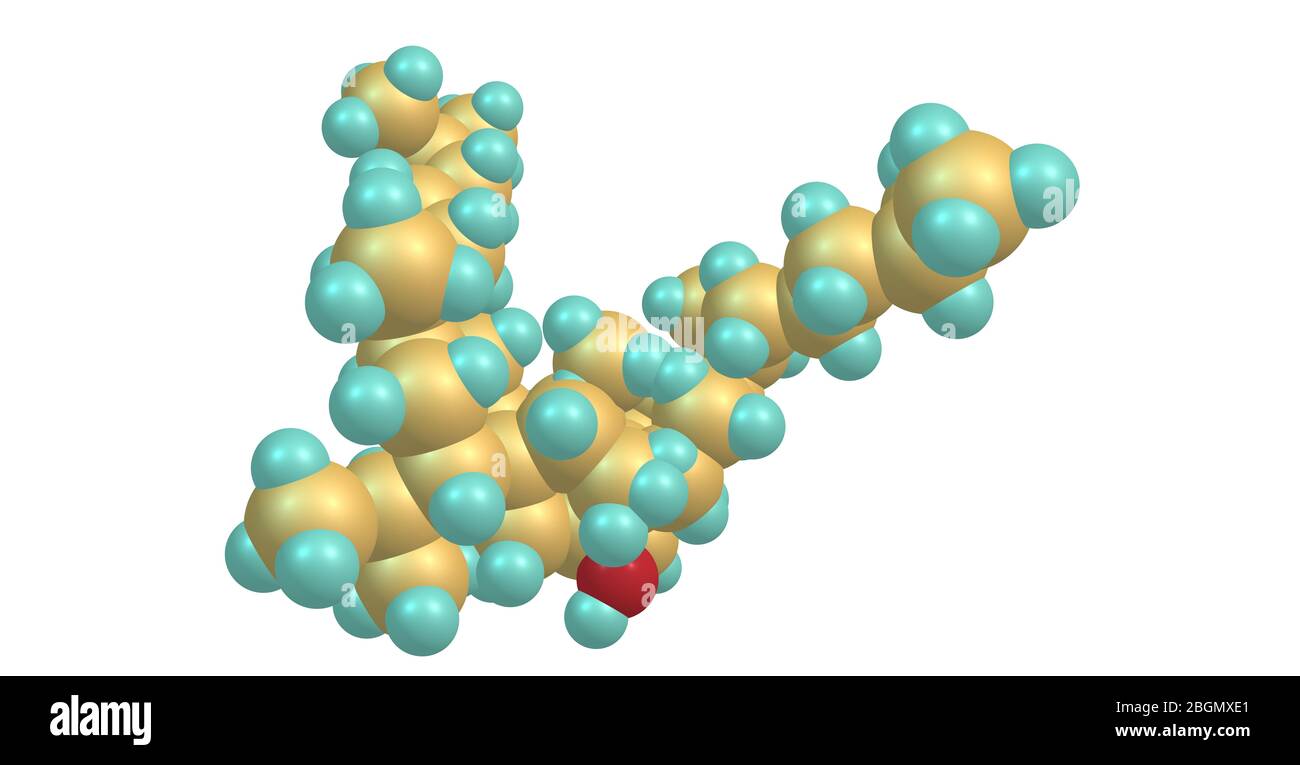 Bilobol is an alkylresorcinol, a type of phenolic lipids composed of