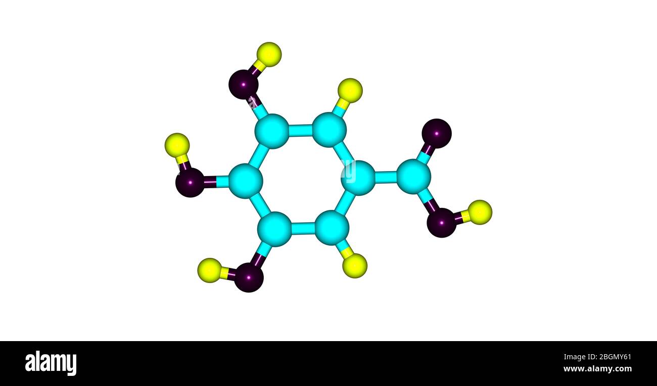 Gallic acid is a trihydroxybenzoic acid, a type of phenolic acid, found
