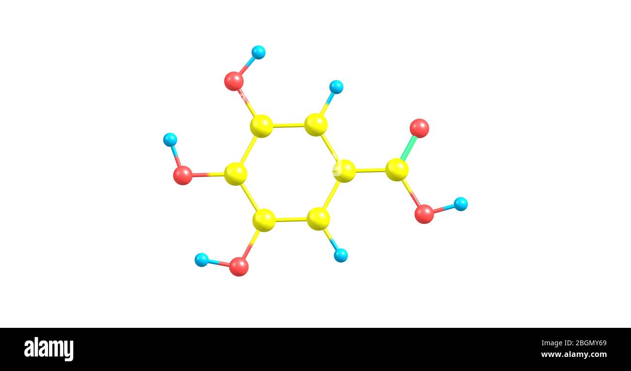 Gallic acid is a trihydroxybenzoic acid, a type of phenolic acid, found