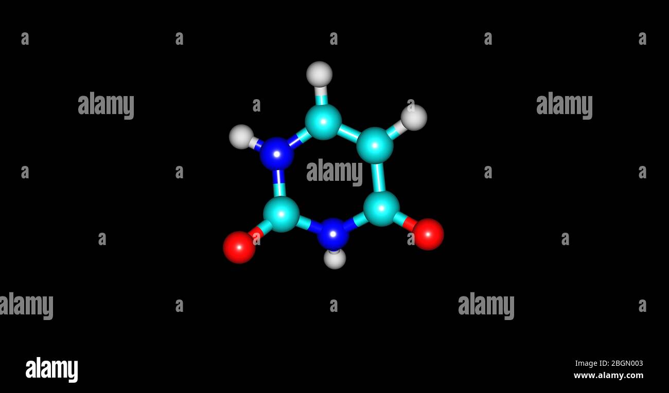 Uracil is one of the four nucleobases in the nucleic acid of RNA. 3d ...
