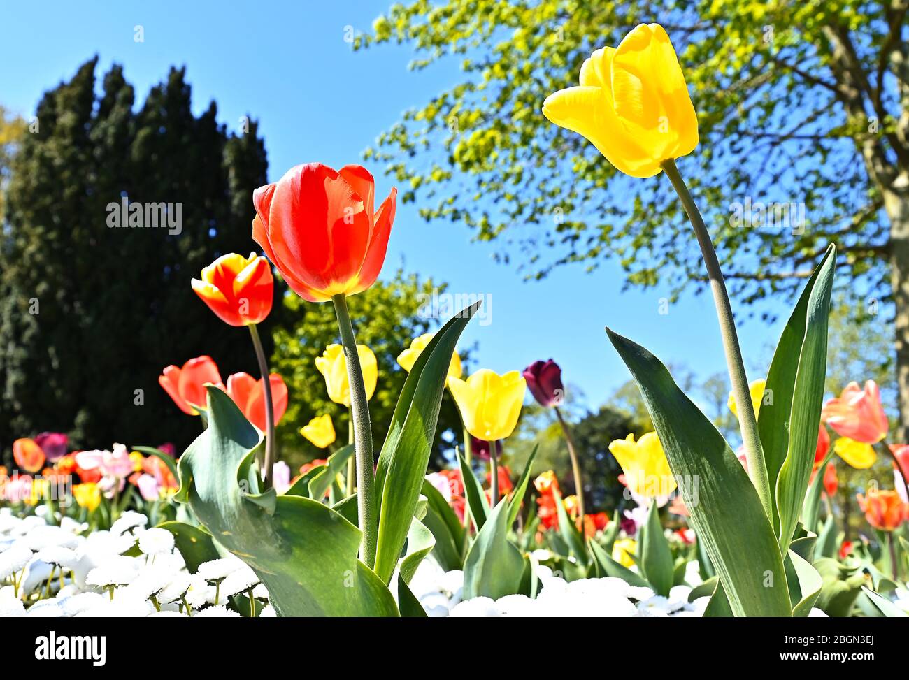 Queens park crewe cheshire hi-res stock photography and images - Alamy