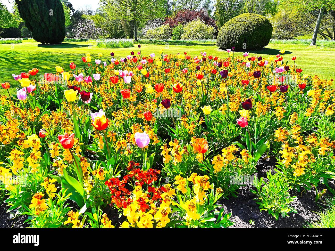 Queens Park in Crewe, cheshire Stock Photo - Alamy