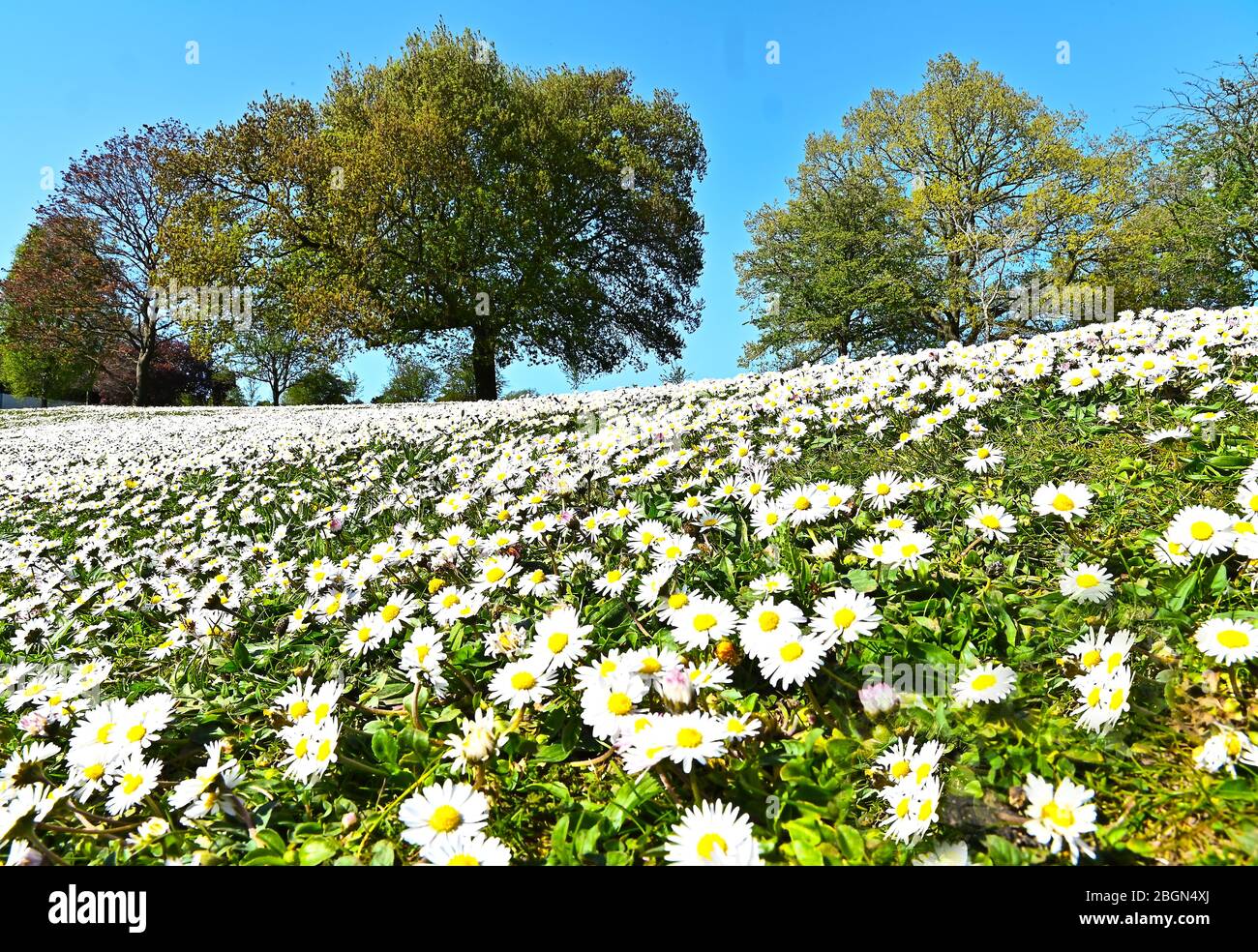 The beautiful Queens Park, Crewe, Cheshire Stock Photo - Alamy