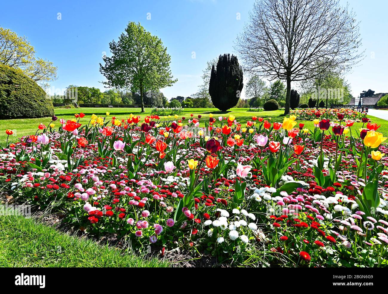Beautiful floral display in Queens Park, Crewe, cheshire Stock Photo ...