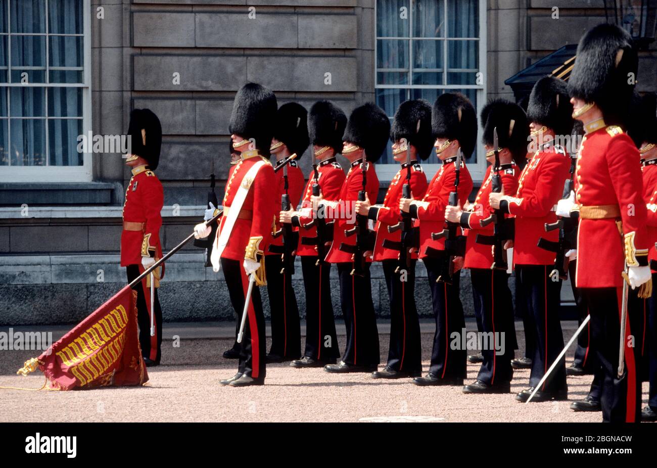 The Grenadier Guards parade the Colour standard at the changing of the