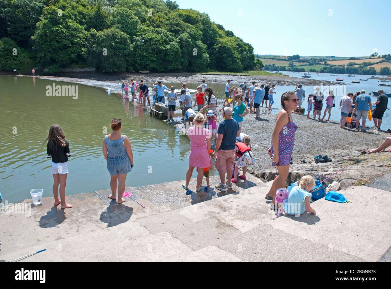People fishing for crabs in River Dart estuary and Mill Pool at the quay, Stoke Gabriel, between