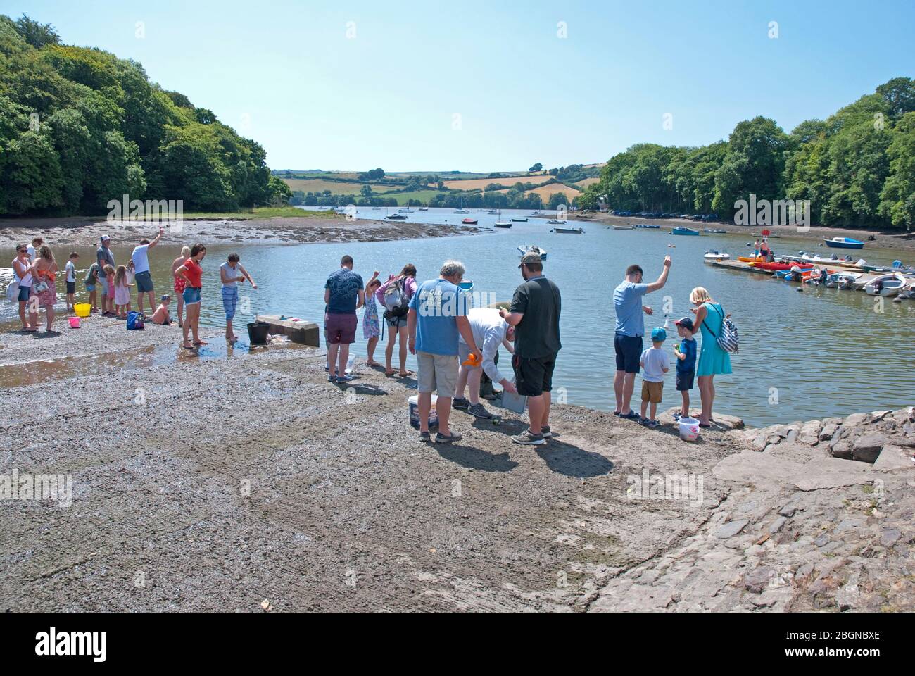 People fishing for crabs in the River Dart estuary at the quay, Stoke Gabriel, between Totnes