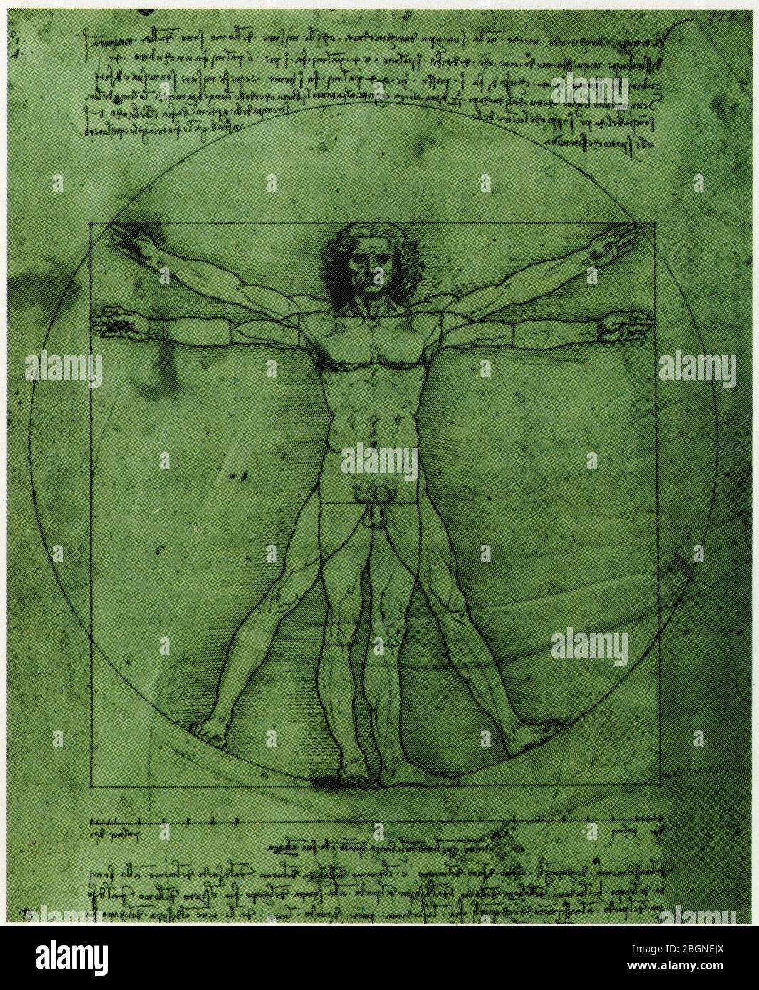 Leonardo da Vinci. L'homme de Vitruve. Dessin dimensionnel. Il démontre la perfection des proportions de l'homme. Stock Photo