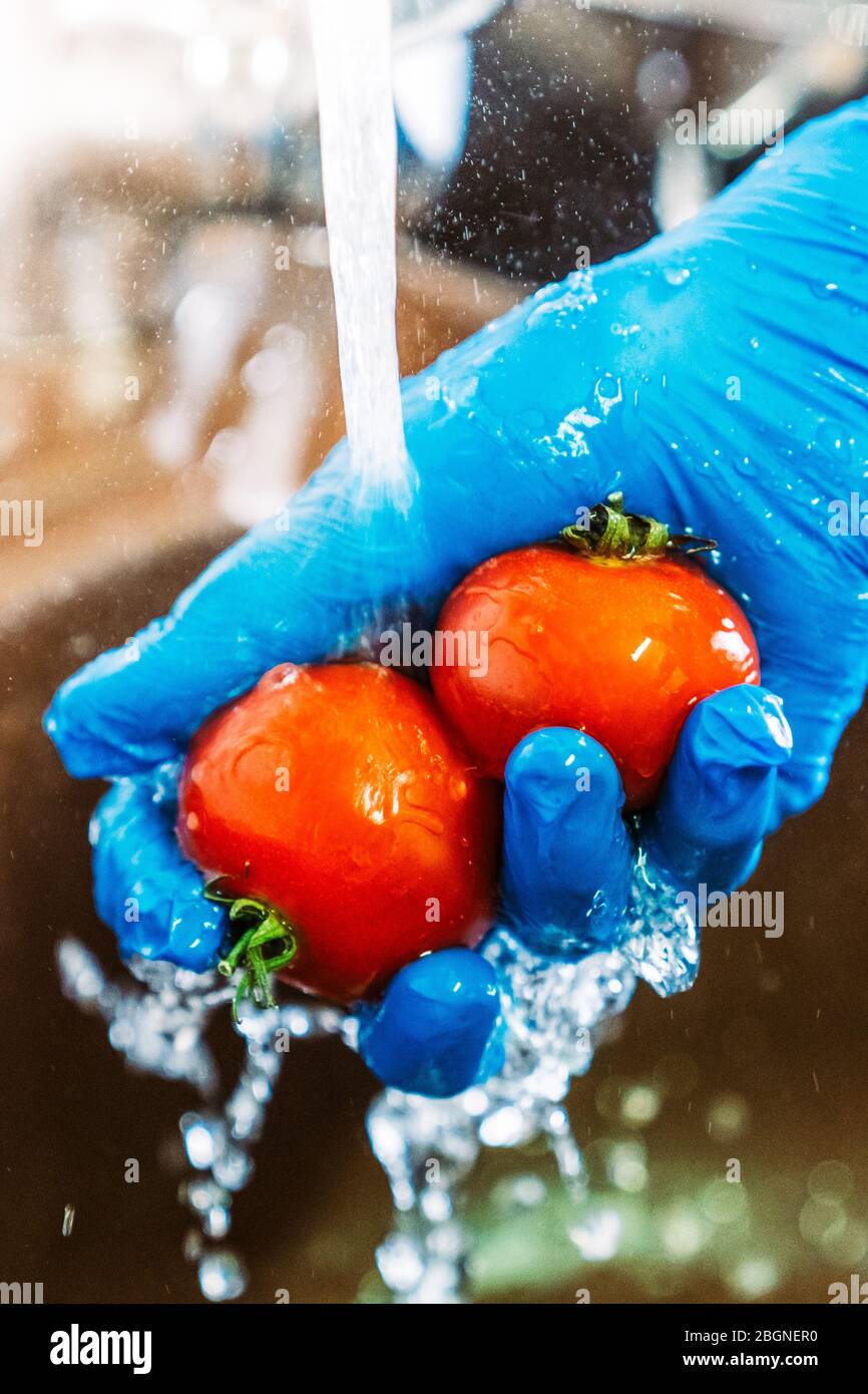 Hand with blue latex gloves disinfecting tomatoes to decontaminate the fruit from coronavirus. Stock Photo