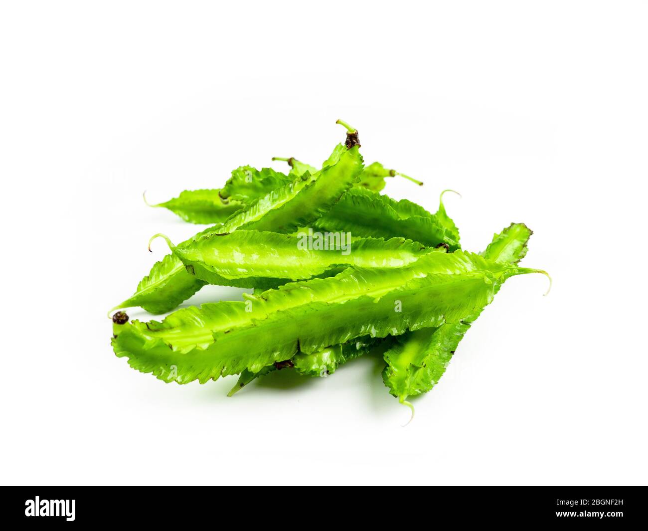 Winged beans on white background isolate. Vegetables to eat with chili