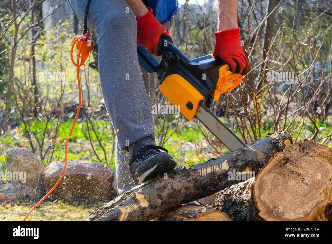 Chainsaw tree felling hi-res stock photography and images - Page