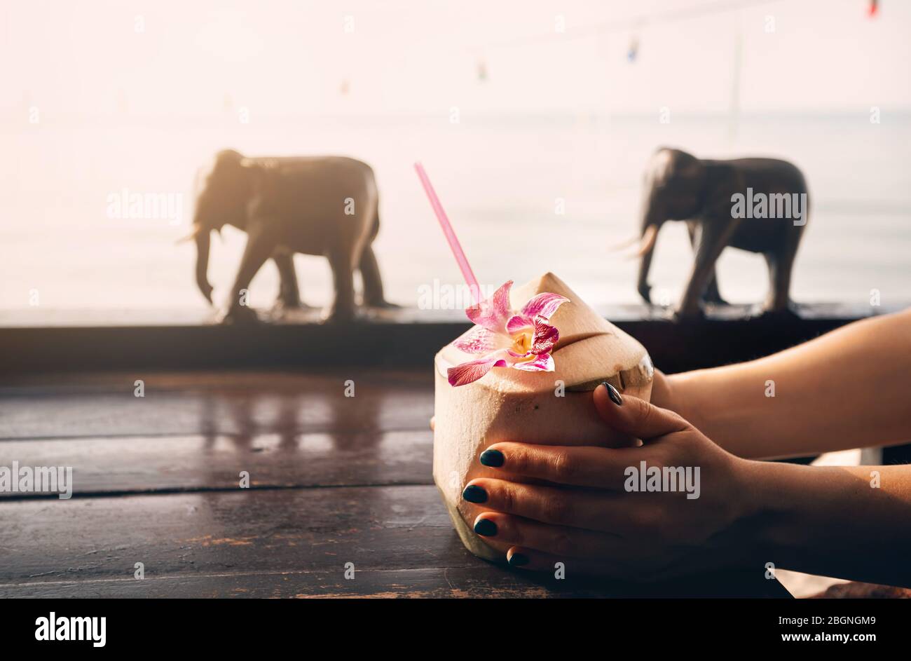 Woman drinks sweet fresh coconut decorated with flower at restaurant on the beach at sunrise. Stock Photo