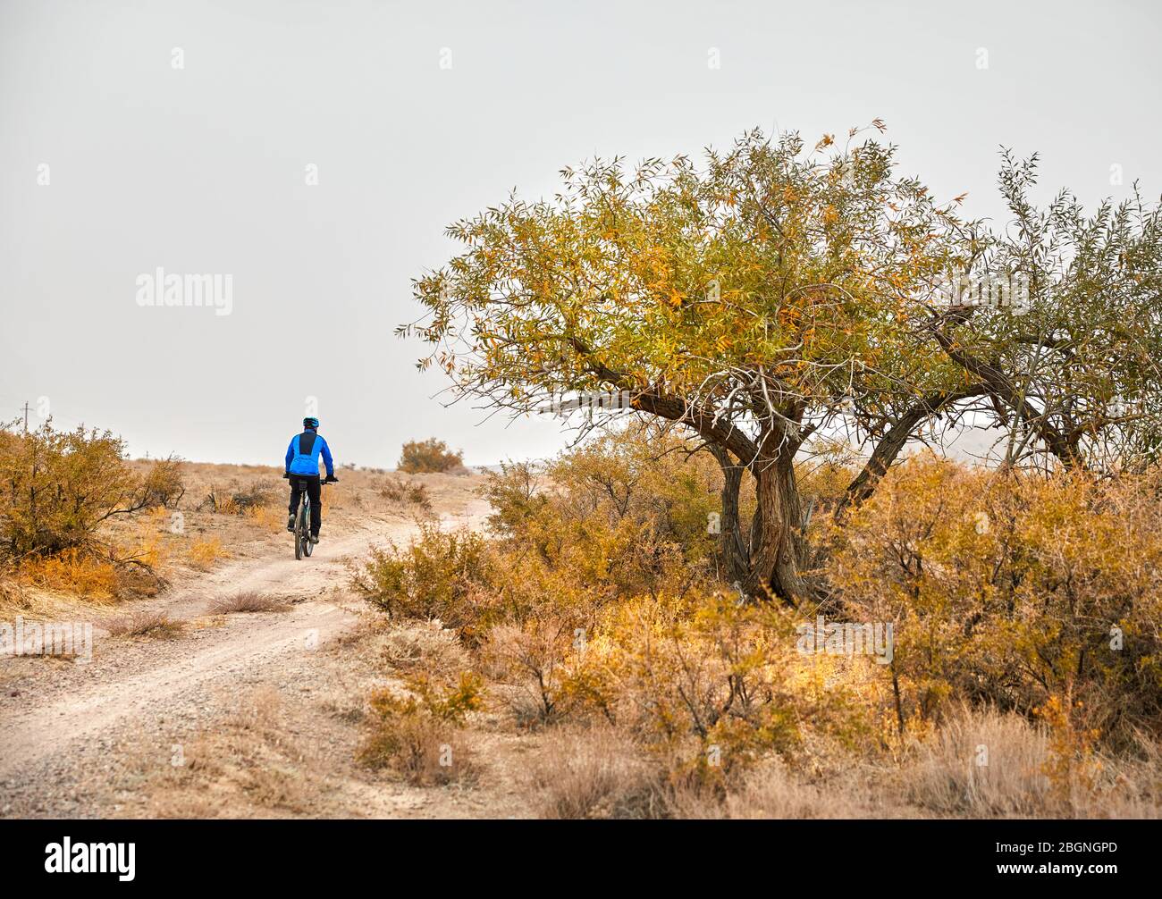 Yellow mountain bike hi-res stock photography and images - Alamy