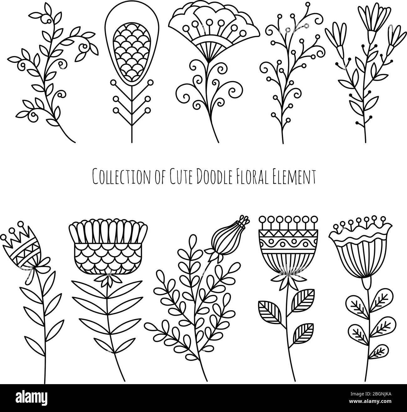 Collection of hand drawn doodle flowers and herbs. Floral doodle