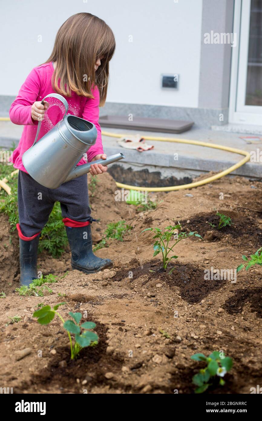 Little child girl with rubber boots watering plants in the garden. Home growing and gardening is a good activity idea for children during covid-19 pan Stock Photo