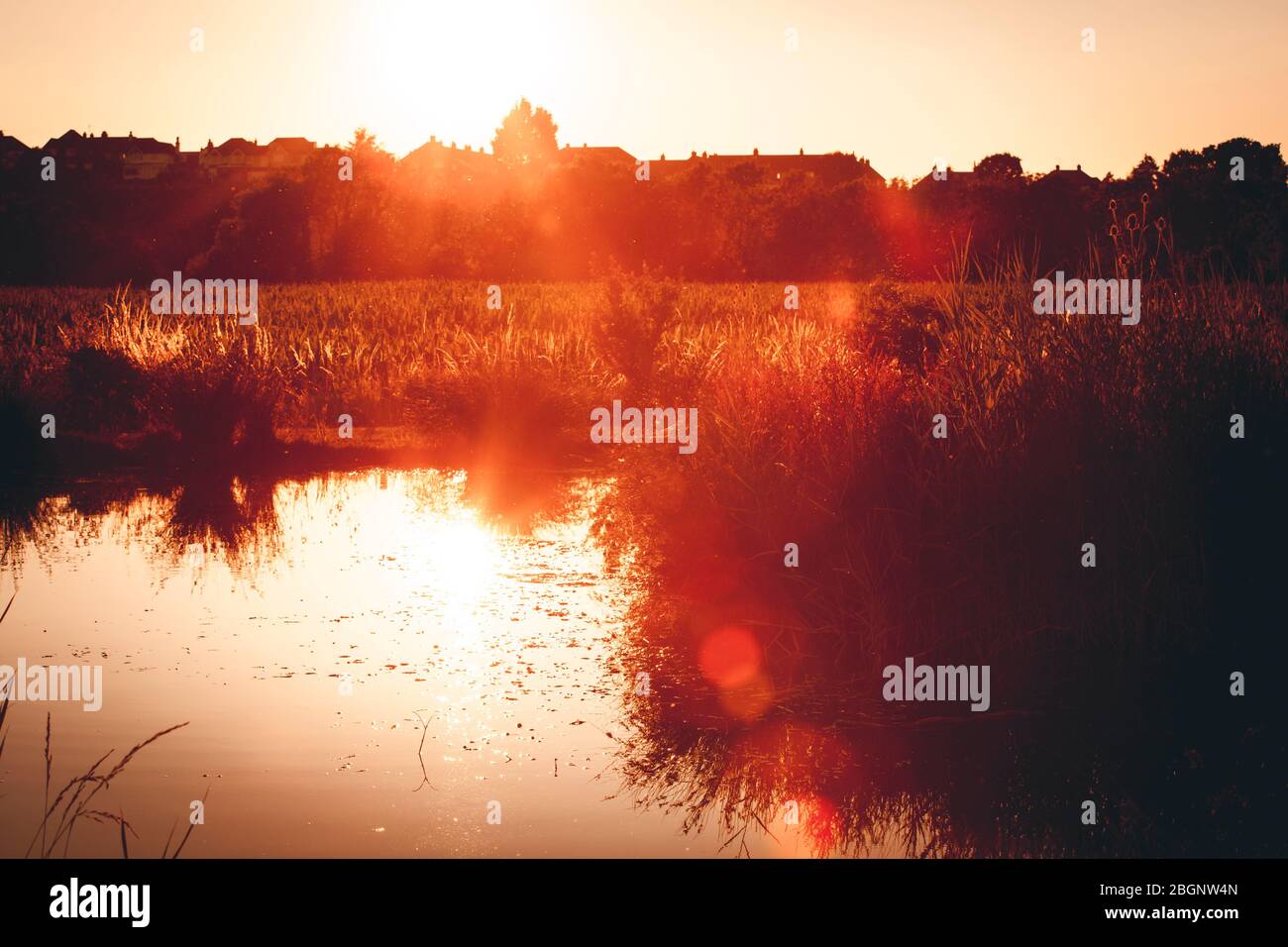 Rye east sussex summer hi-res stock photography and images - Alamy