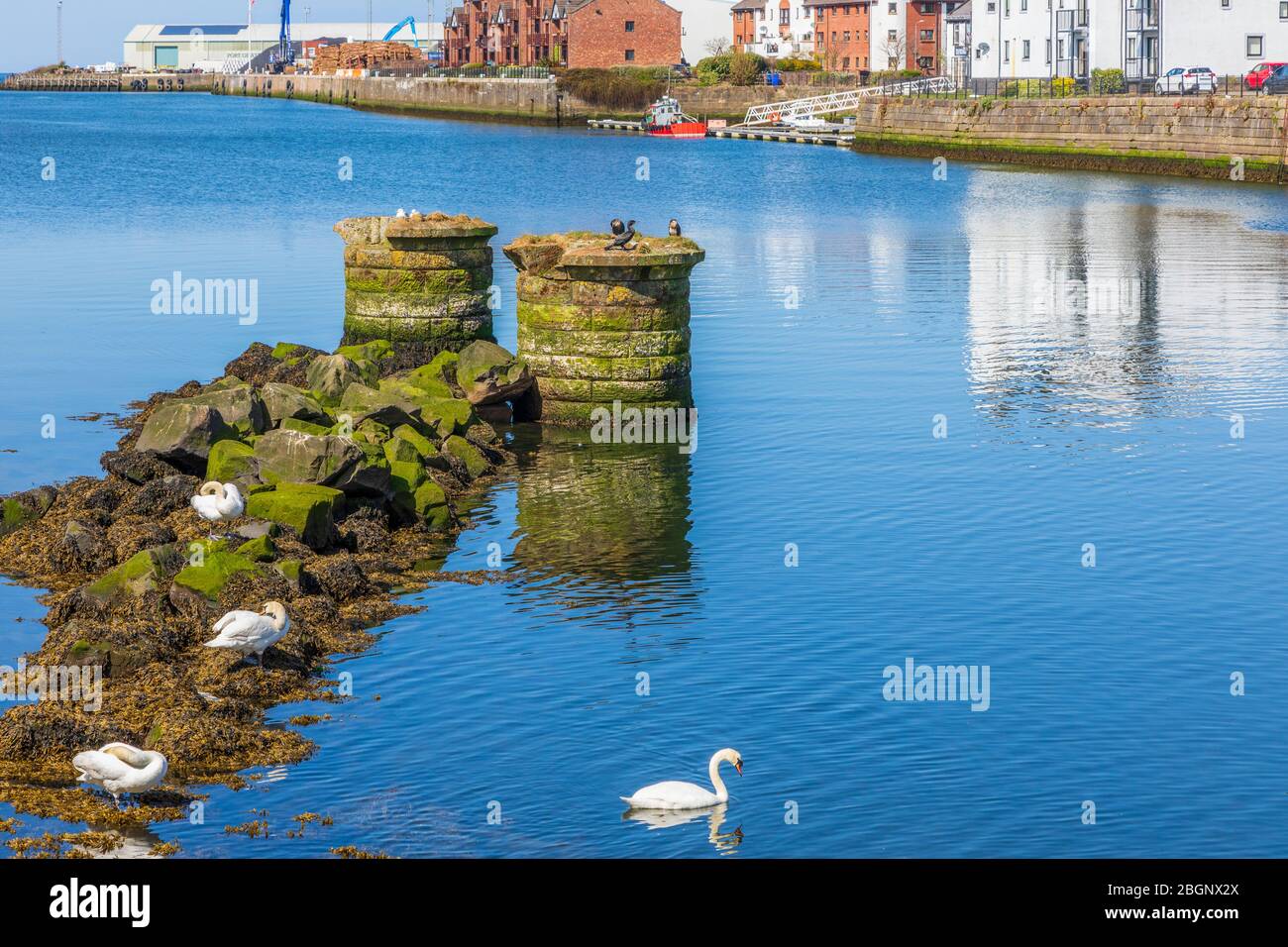 River Ayr at Ayr Harbour and view to the Firth of Clyde, Ayr, Ayrshire ...