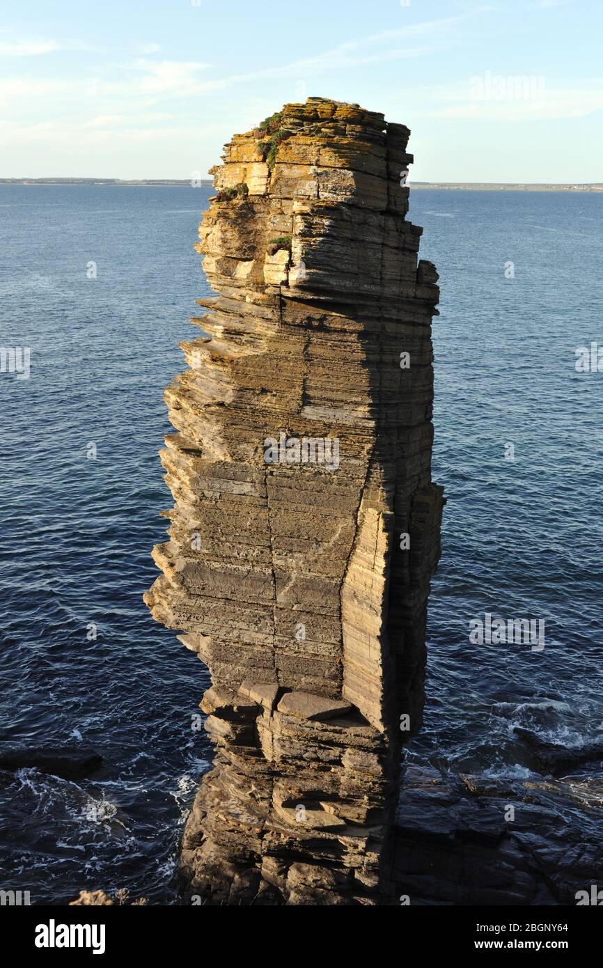 Sinclair & Girnigoe Castle nearby stack, Caithness, Scotland Stock Photo