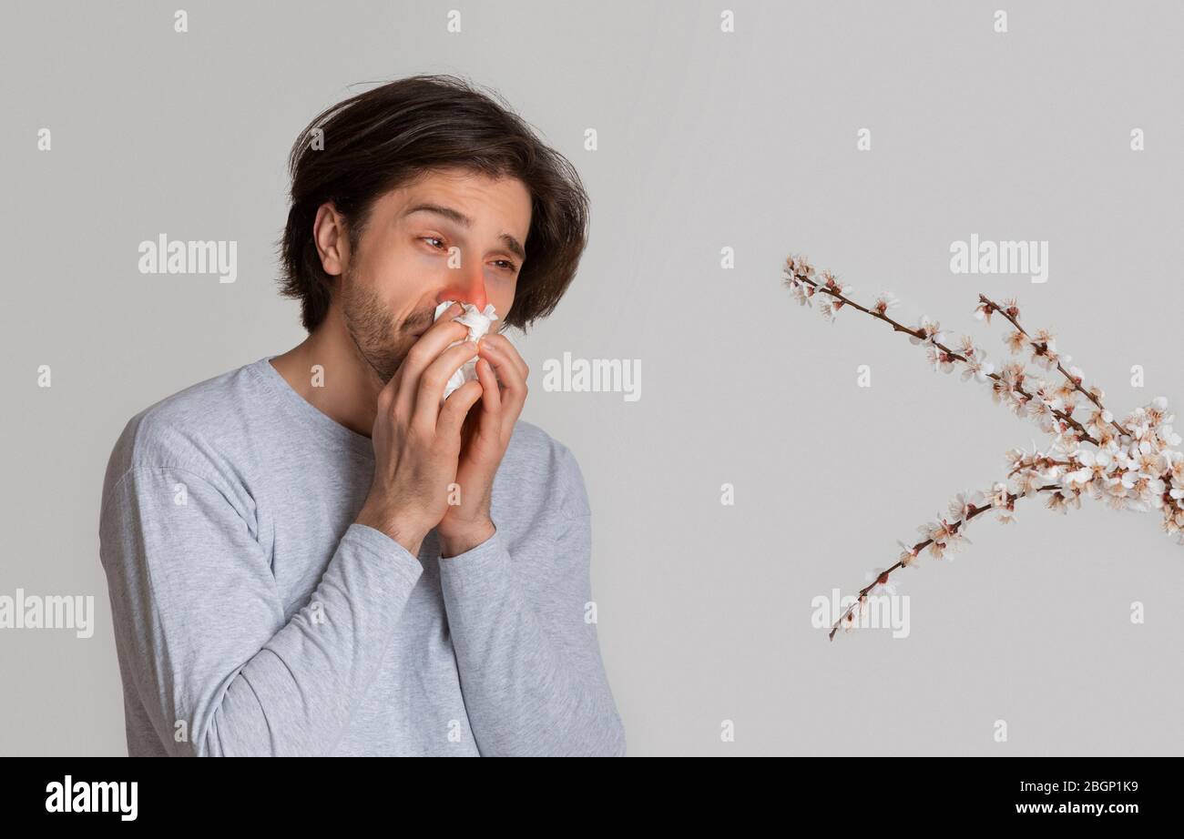 Man blowing nose. Pollen allergy symptoms, empty space Stock Photo