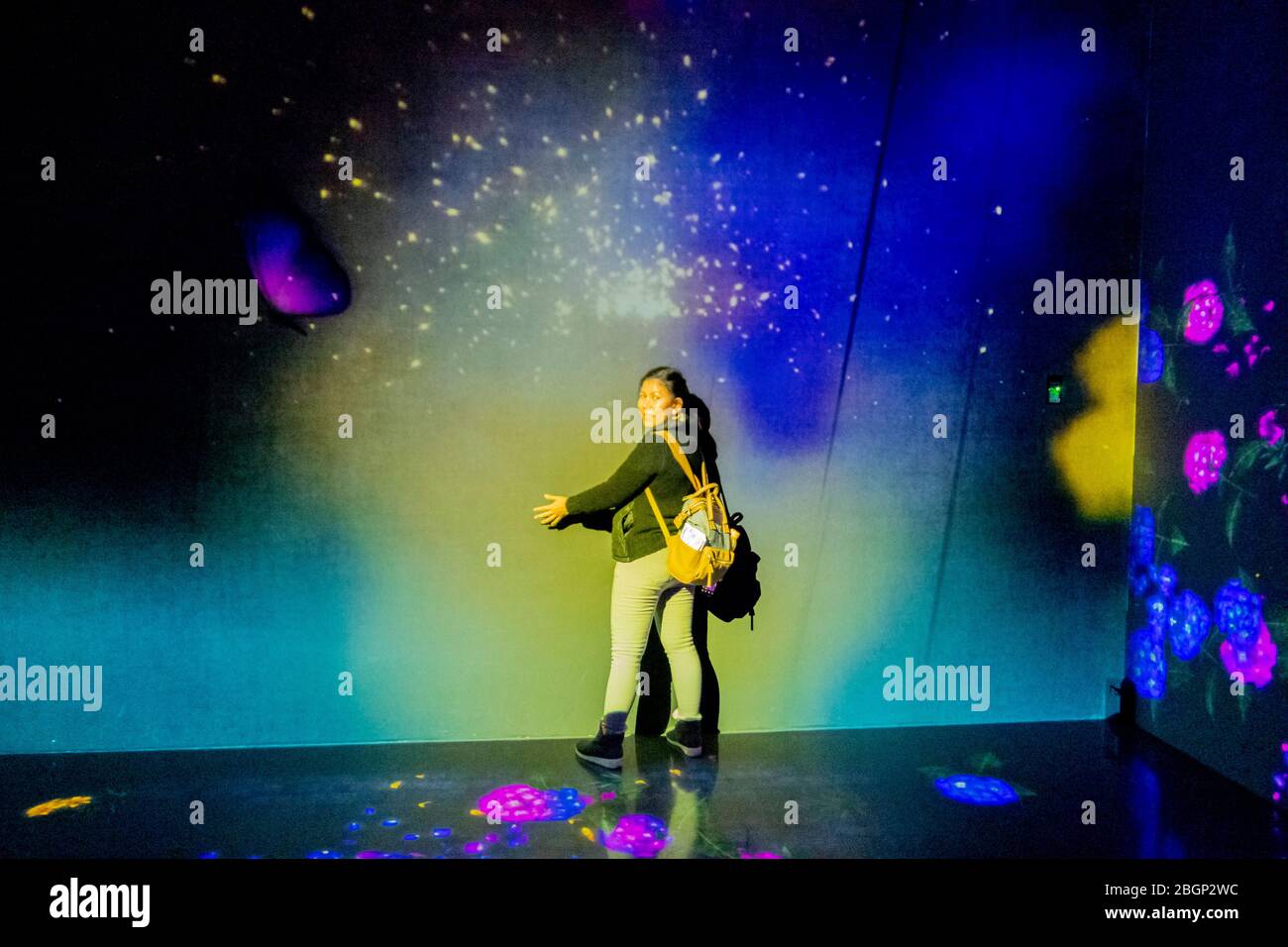 Projector and reflecting light effect art as butterflies at teamLab