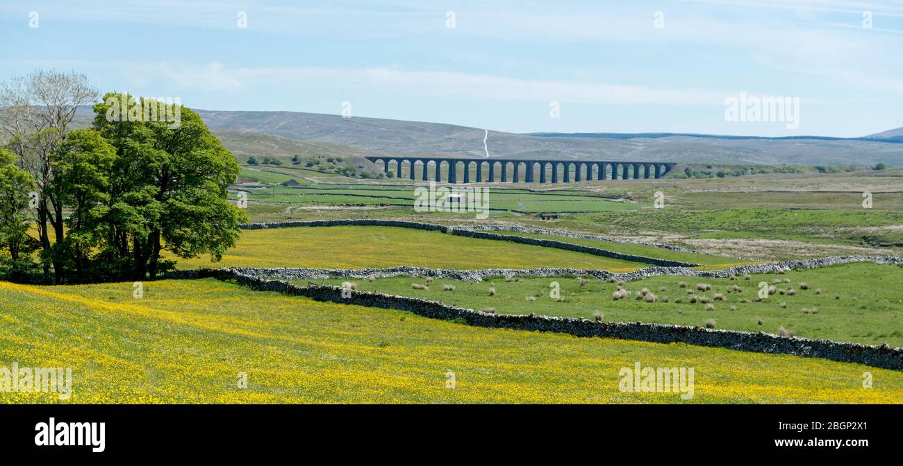 Summer view across wild flower meadows towards Ribblehead Viaduct in the Yorkshire Dales National Park Stock Photo