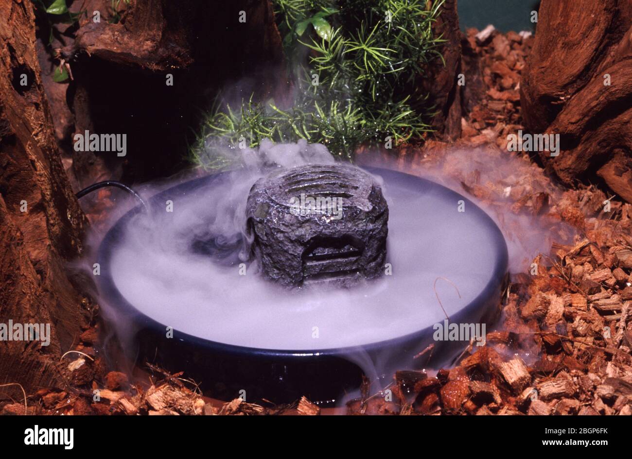 Ultrasonic humidifier for terrarium Photo - Alamy