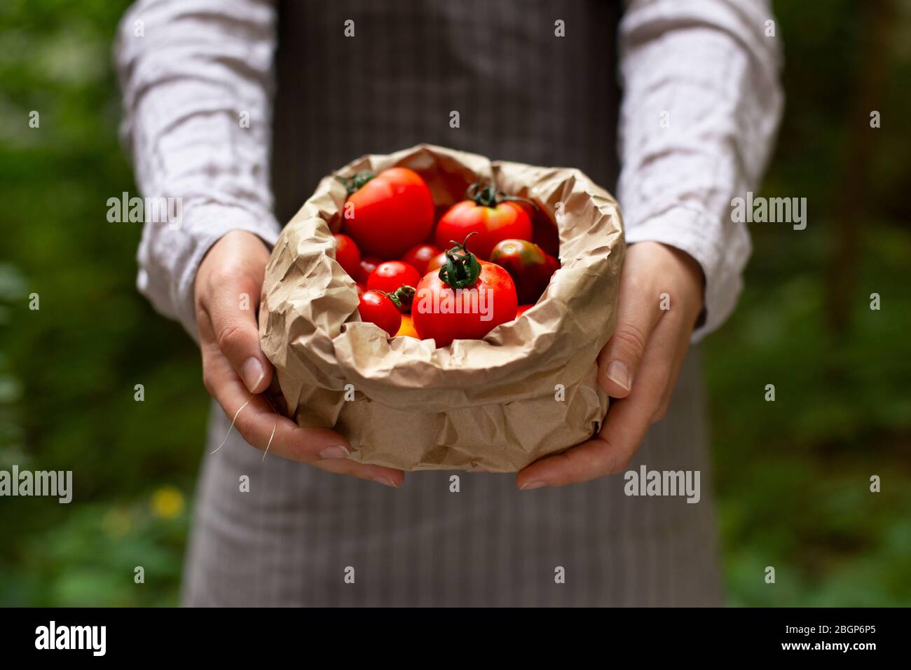Delivery man holds organic tomatoes in paper bag Stock Photo Alamy