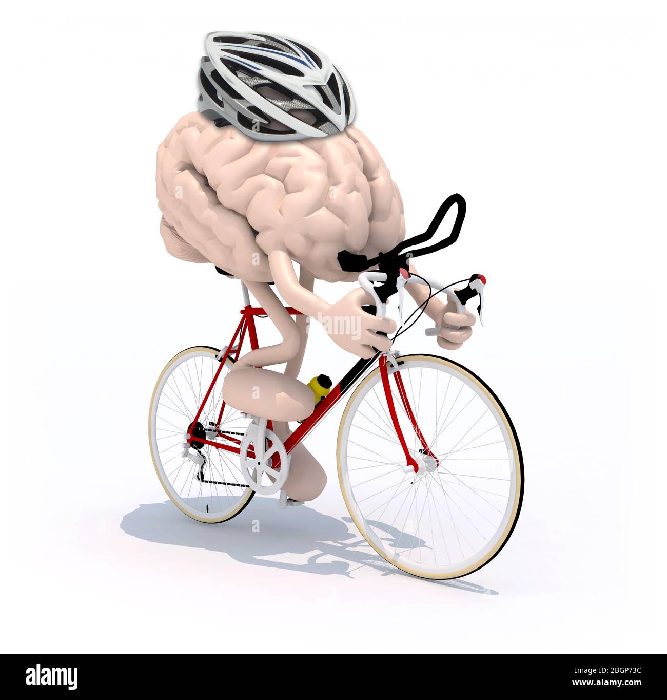 human brain cartoon with arms and legs riding a racing bike, 3d  illustration Stock Photo - Alamy