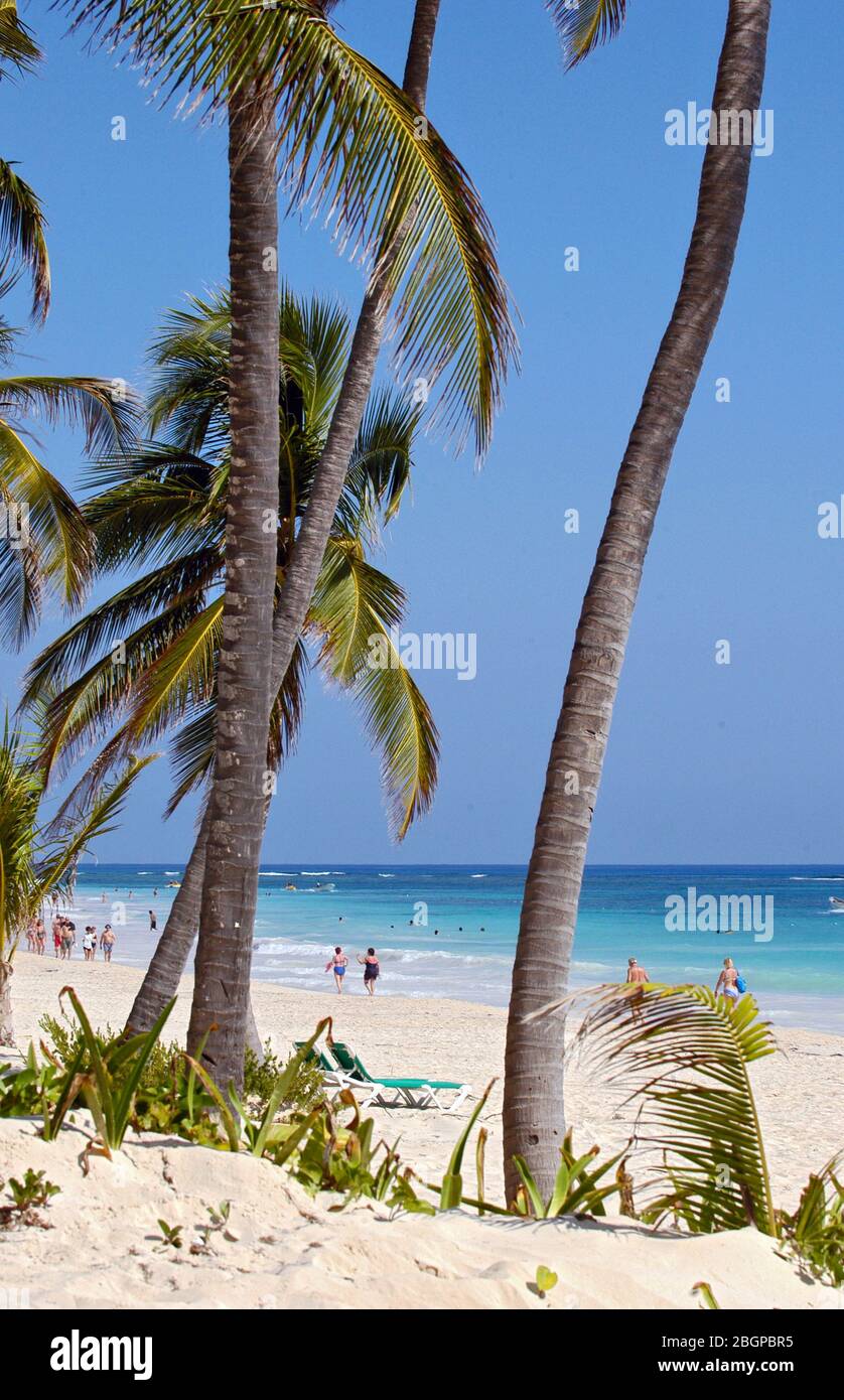 Strand, Punta Cana, Dominikanische Republik, Amerika, Karibik Stock Photo