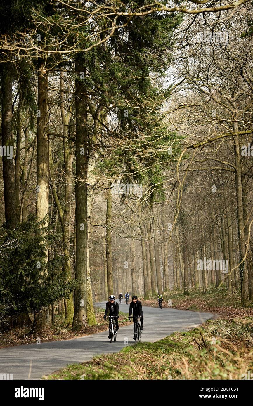 Cycling in the Forest of Dean Stock Photo