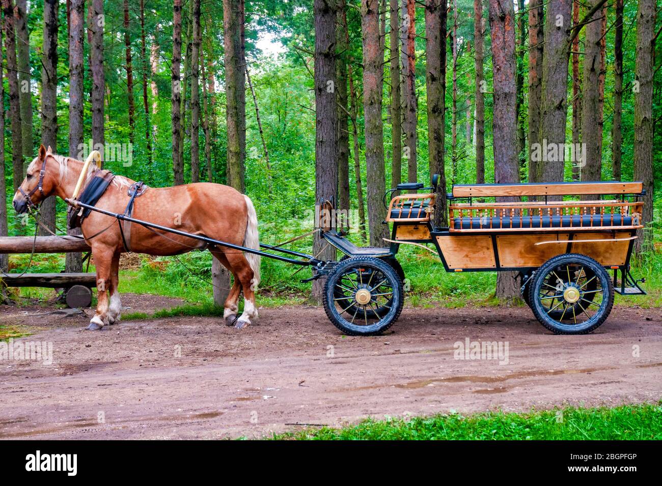 Horse and cart in the Estonian Open Air Museum, Tallinn, Estonia Stock Photo
