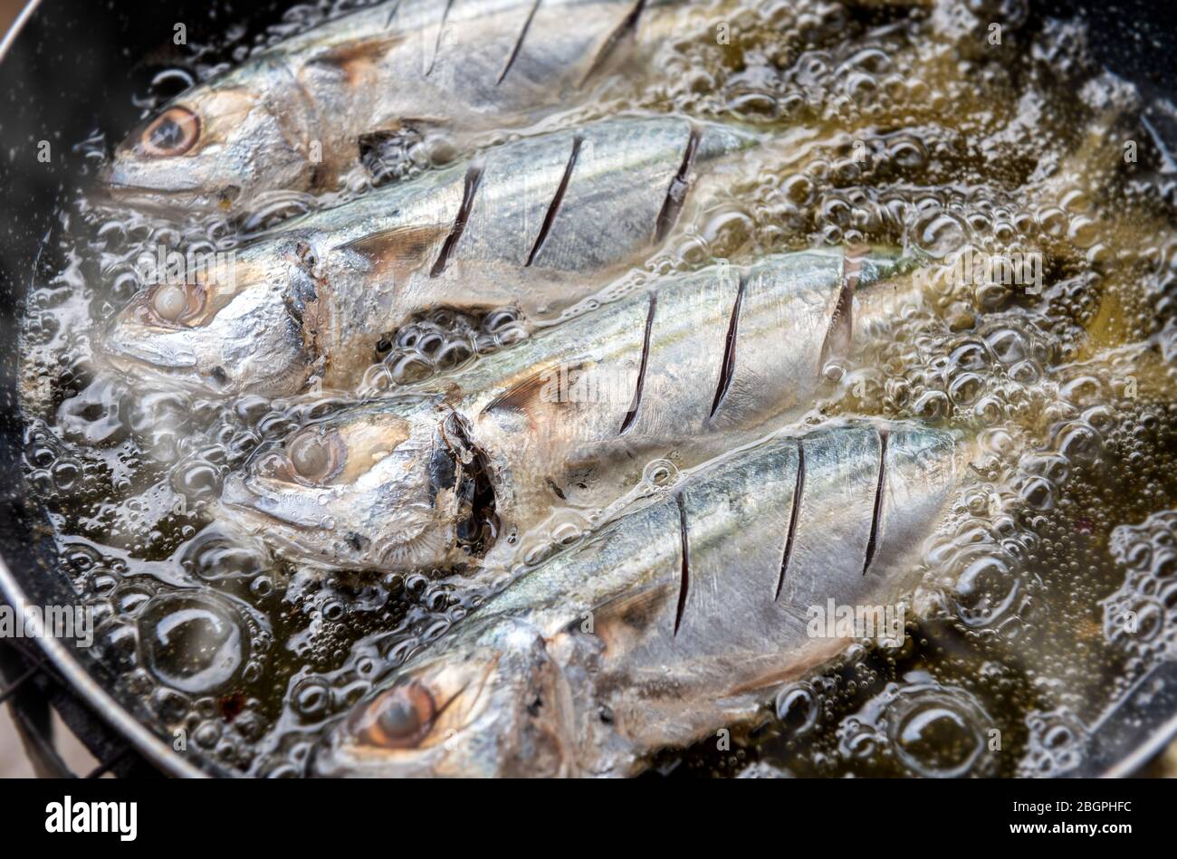 Frying mackerel fishes cooking with hot oil pan with indoor low