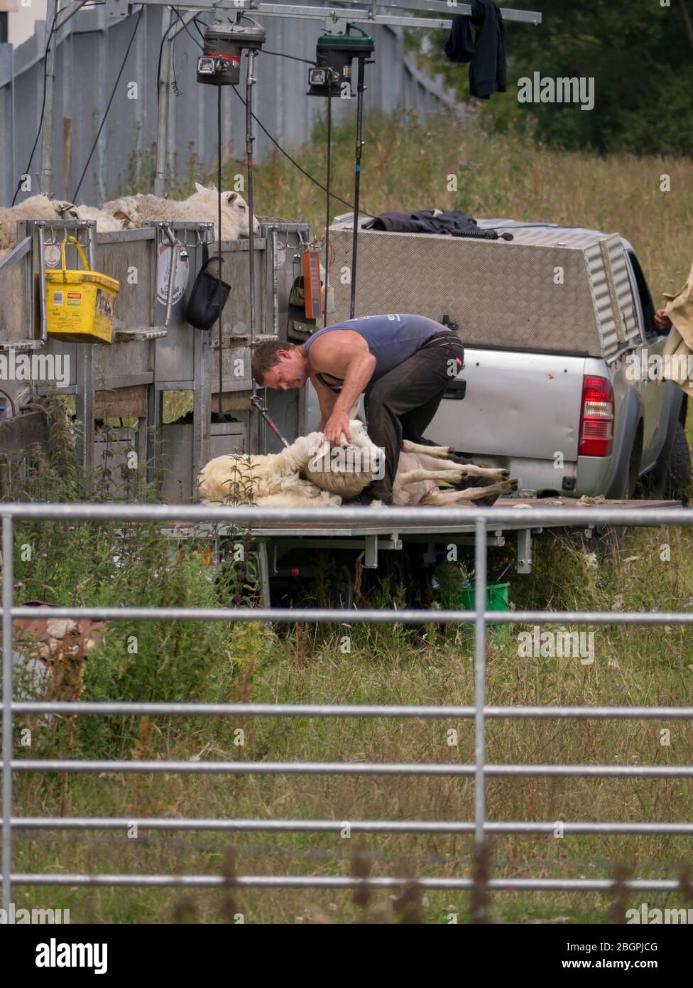 Mobile Sheep Shearers Stock Photo Alamy