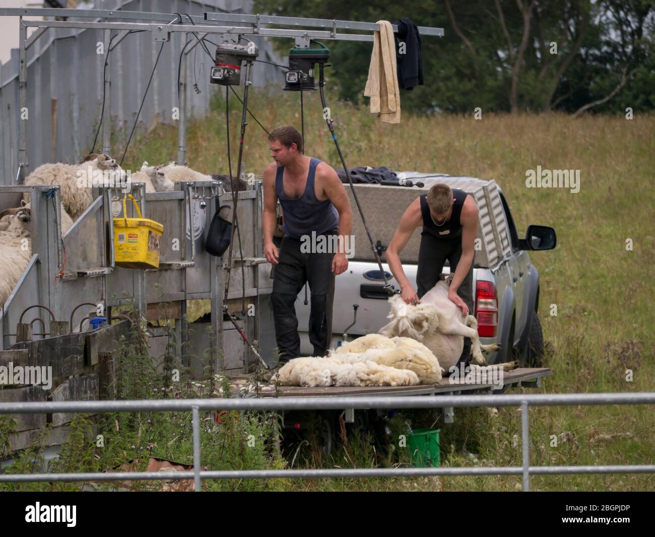 Mobile Sheep Shearers Stock Photo Alamy