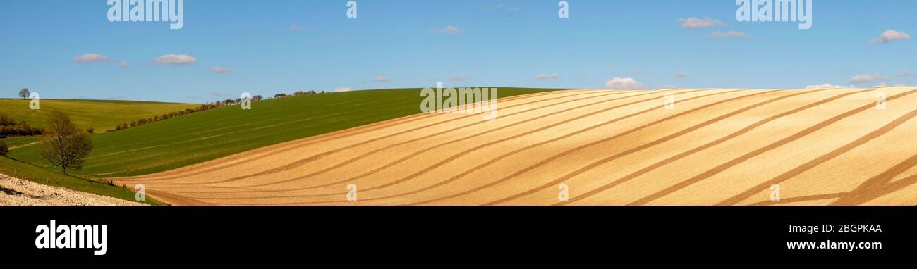 Panorama landscape of curved lines and graphical shapes of a ploughed field and rolling green hills with a blue sky and white fluffy clouds over the f Stock Photo