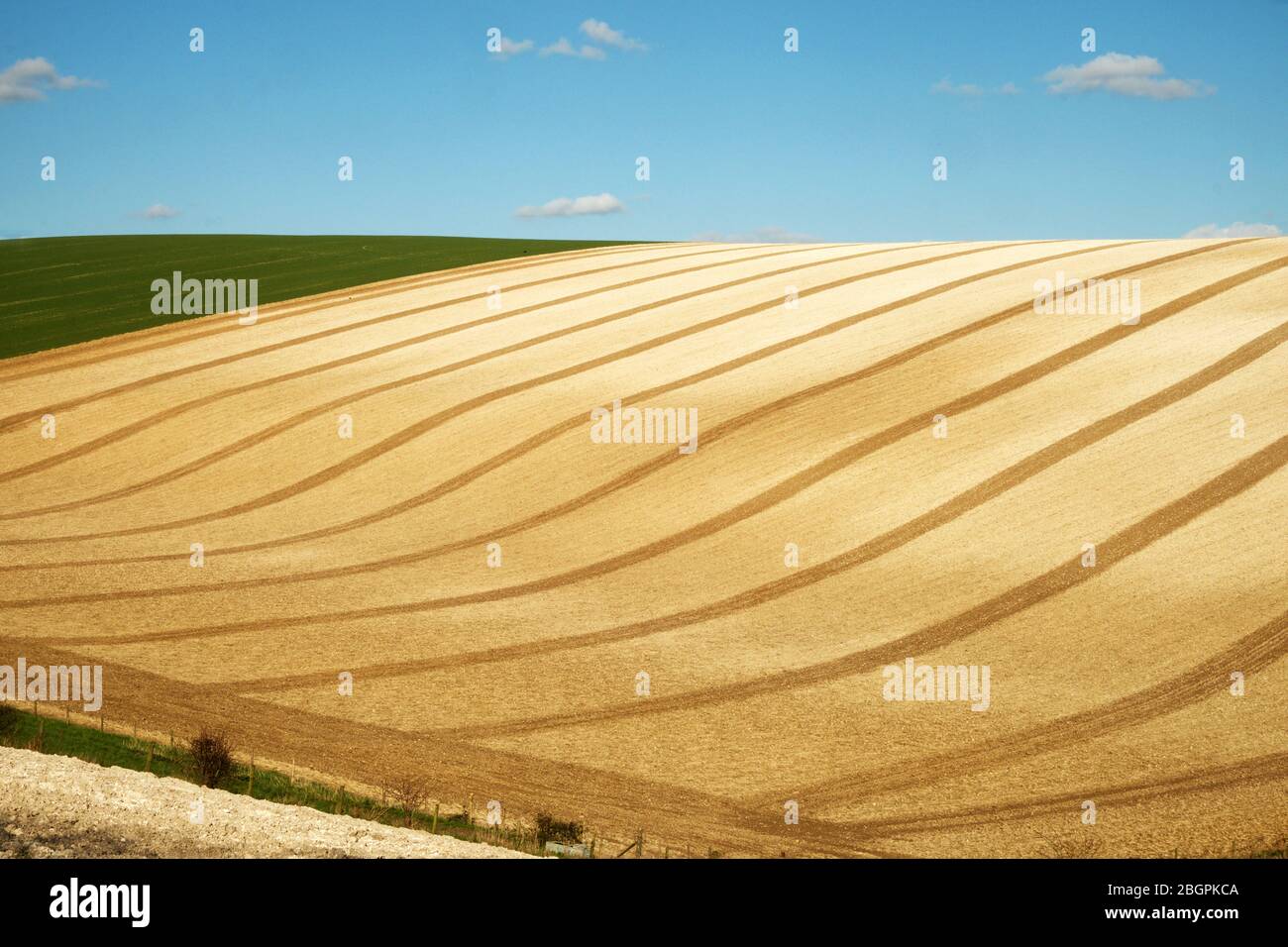 Curved lines and graphical shapes of a ploughed field with a blue sky and white fluffy clouds of the rolling farmland on the Sussex downs, Sussex, Eng Stock Photo