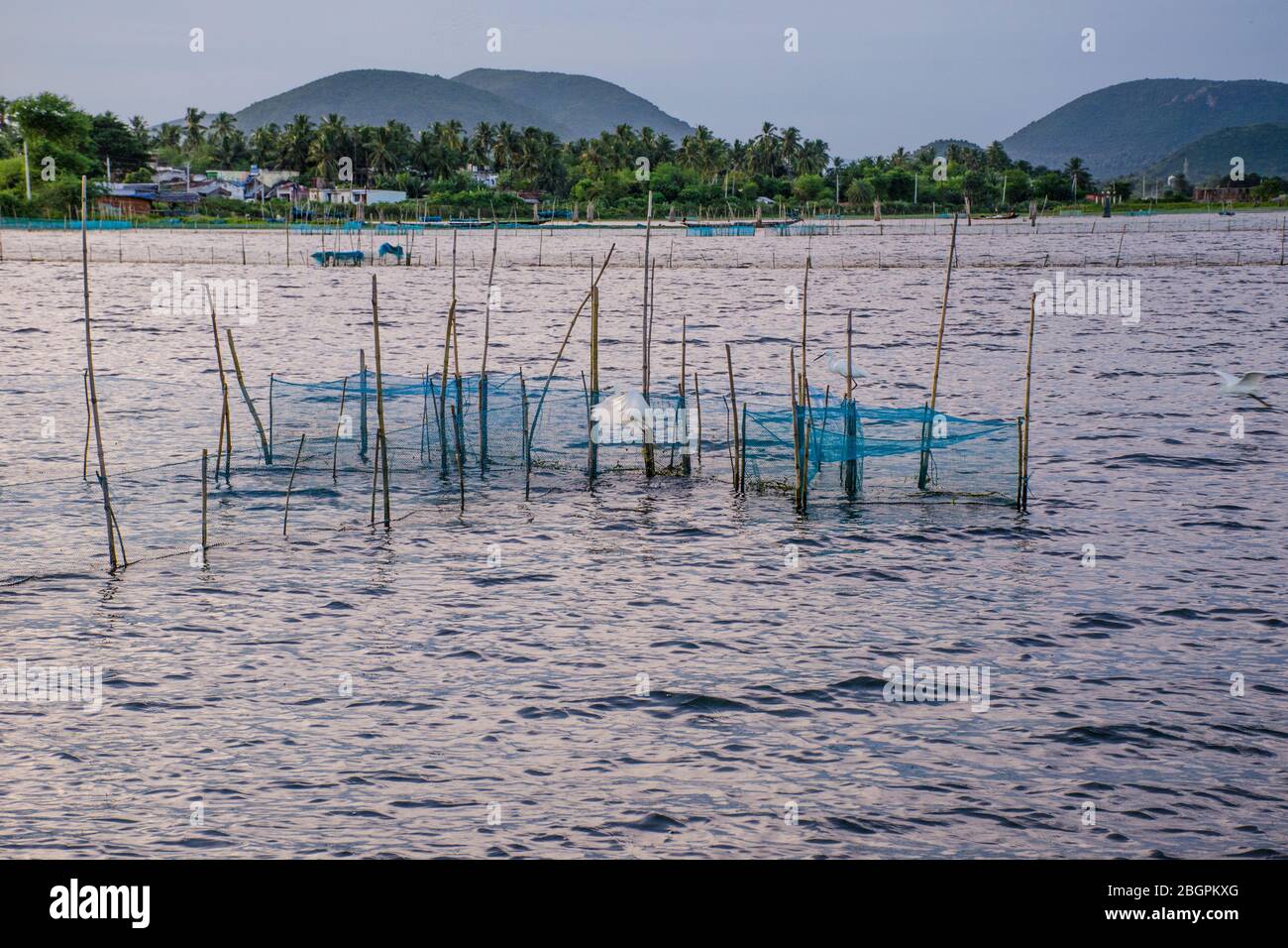Chilka lake rambha hires stock photography and images Alamy