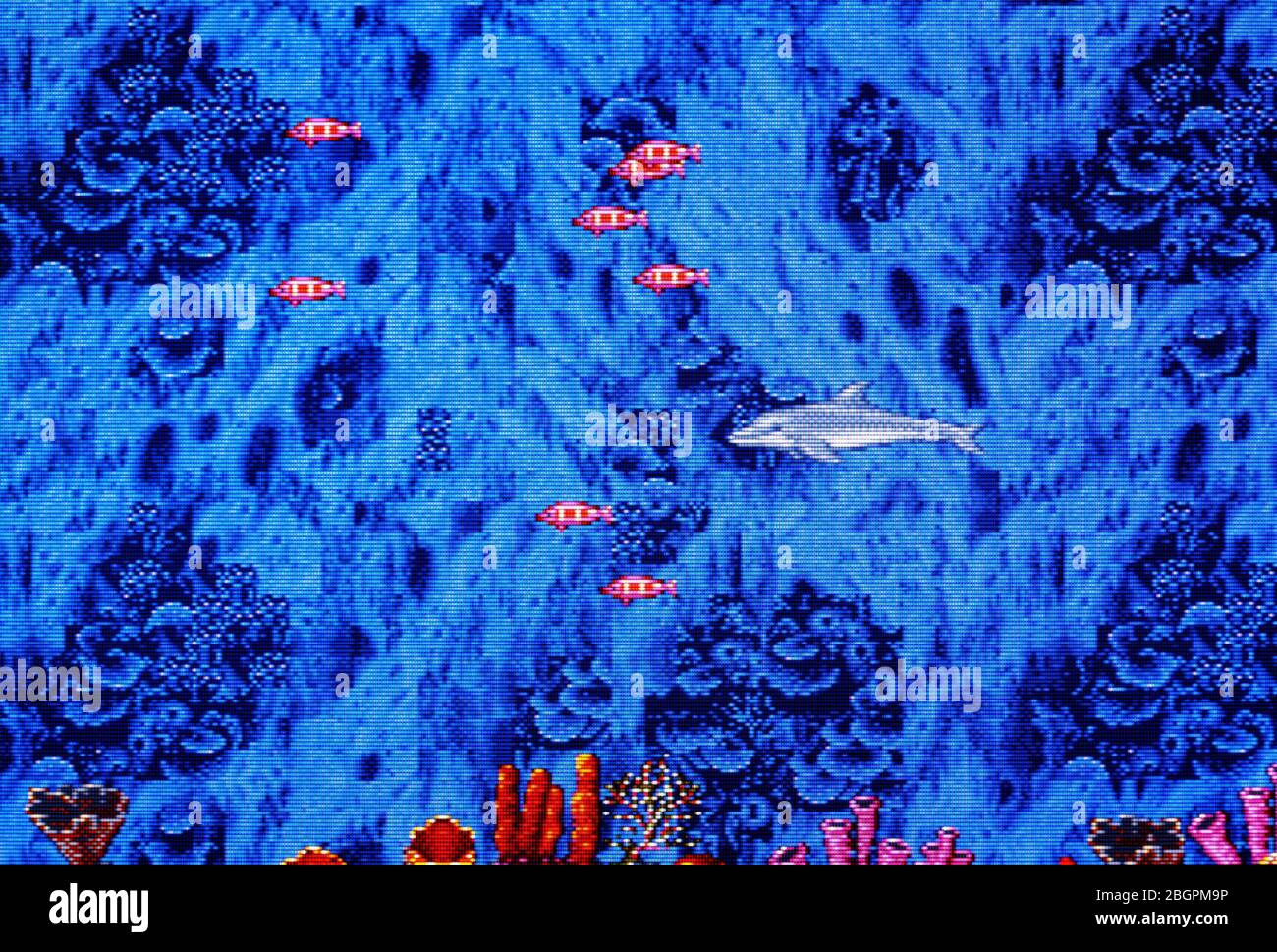 Ecco The Dolphin - Sega Genesis Mega Drive - Editorial use only Stock Photo  - Alamy