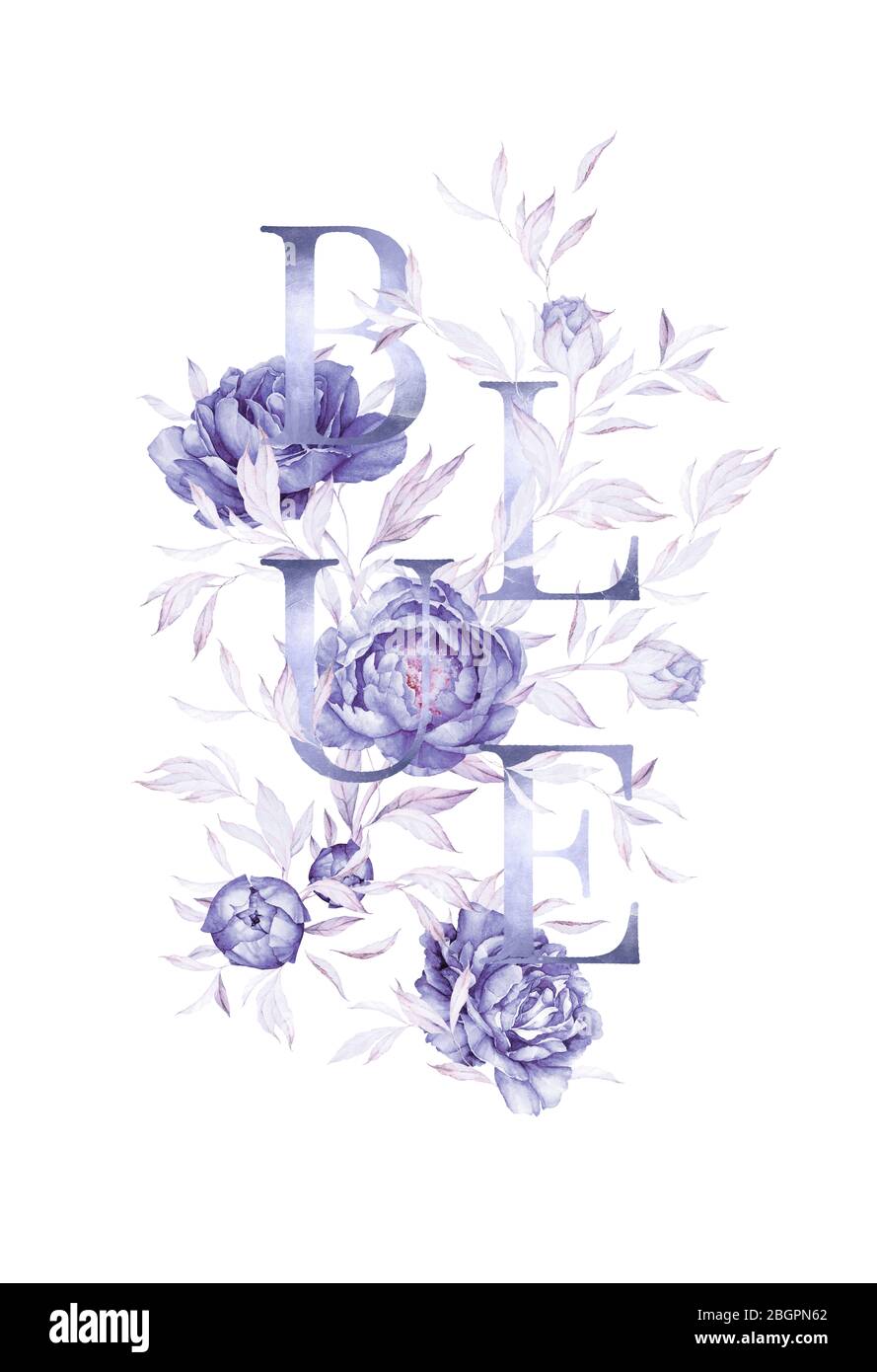 Floral composition. Blue Flowers. Light Blue Lush Leaves. Watercolor flowers. Pre-made Composition. Print quality. White background. Stock Photo