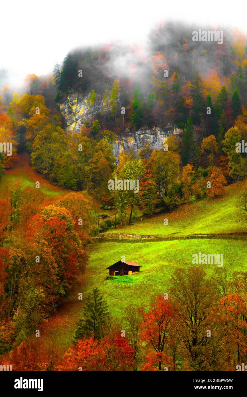 Switzerland hillside during autumn with fog Stock Photo