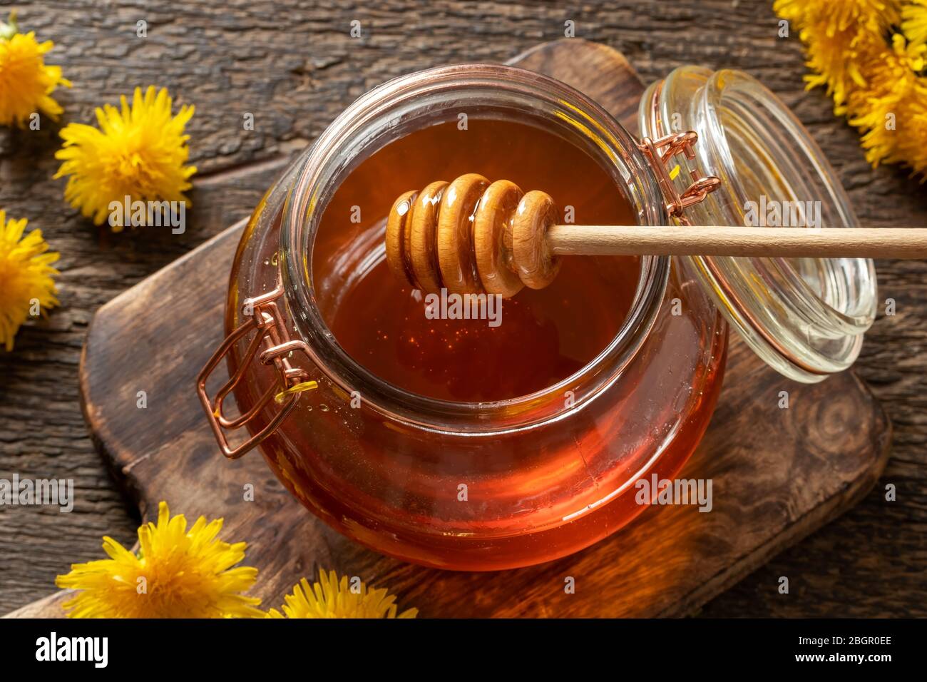 Honey dipper in a jar of dandelion syrup made from fresh flowers Stock Photo