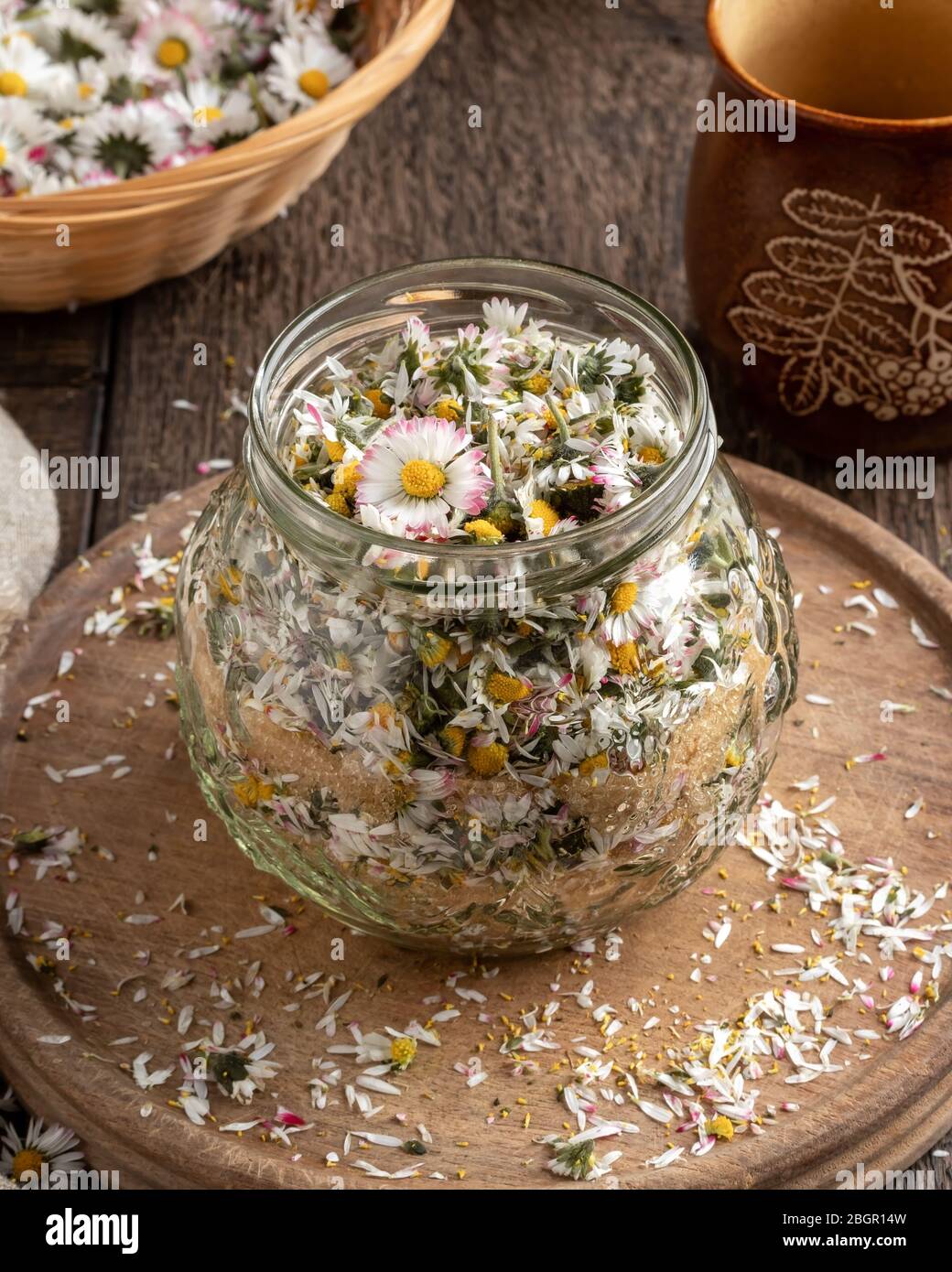 Preparation of a herbal syrup against cough from common daisy flowers