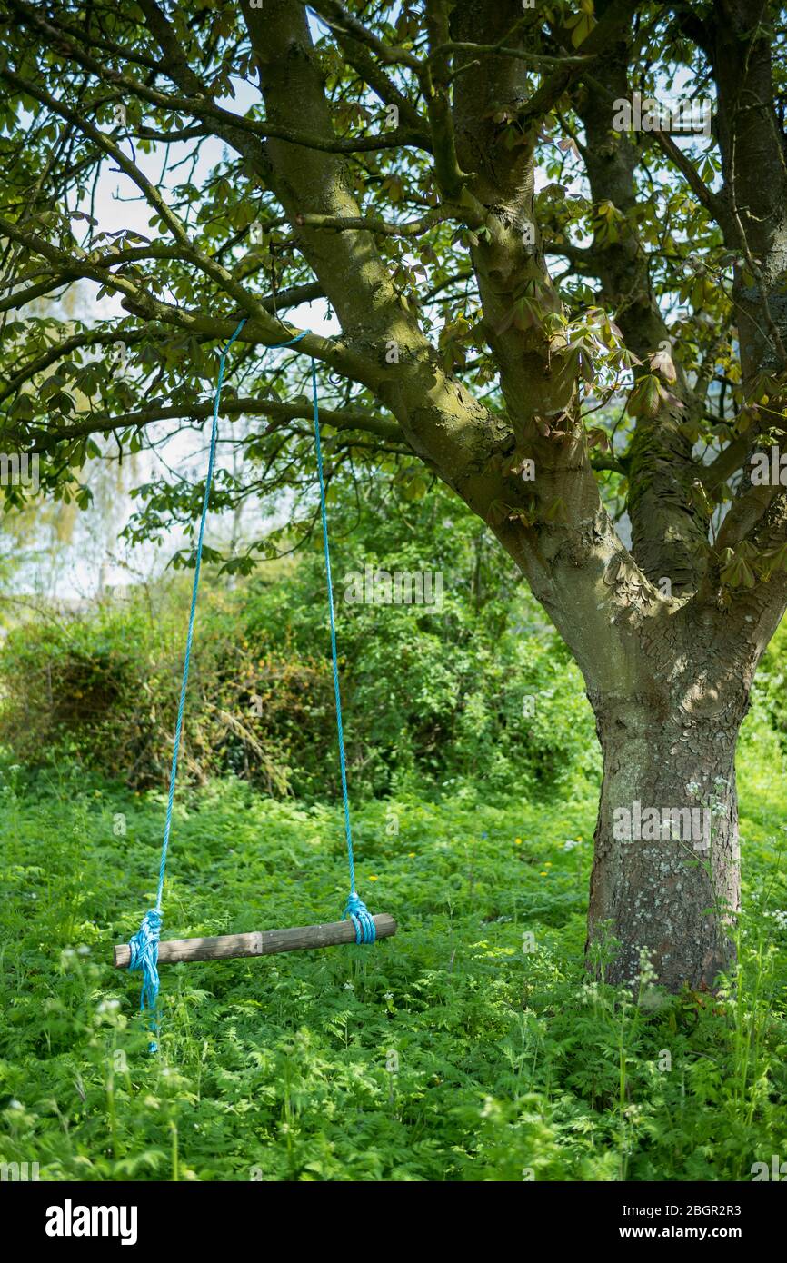 Simple log and plastic rope swing in an English country garden Stock Photo