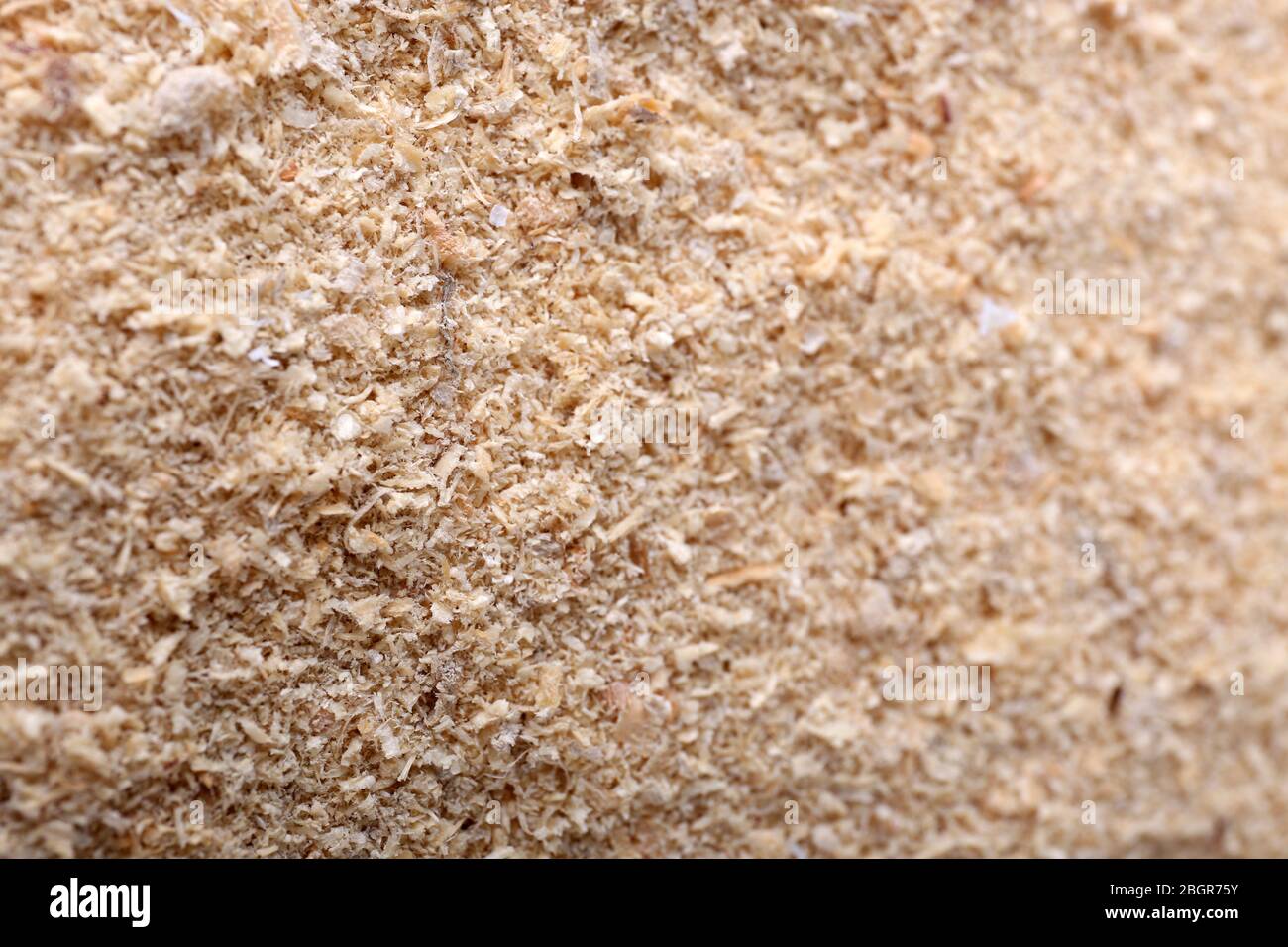 Smell of the sawdust hires stock photography and images Alamy