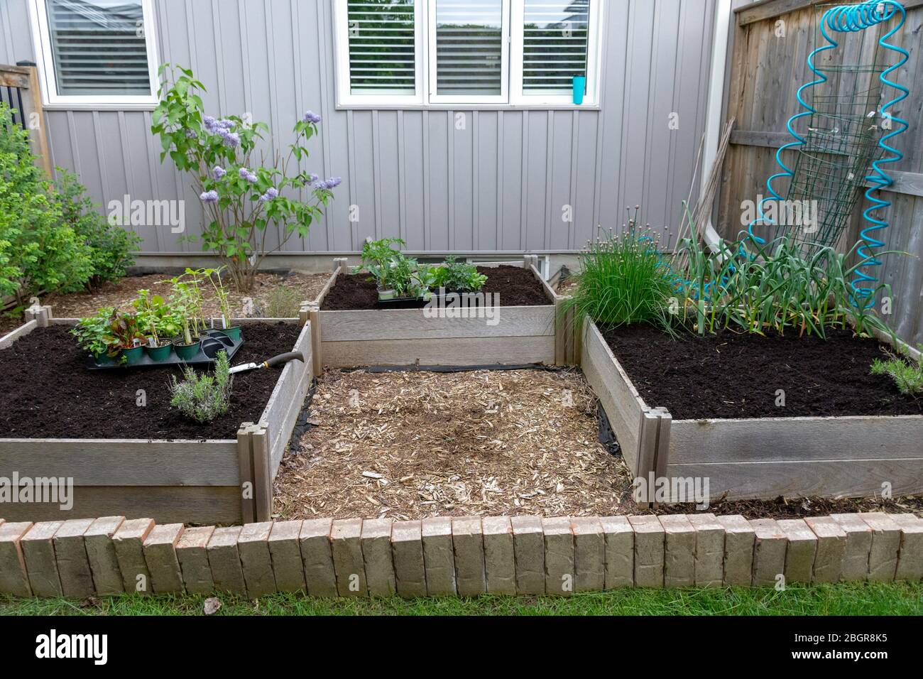 Part of the grow your own food trend, this backyard vegetable garden ...